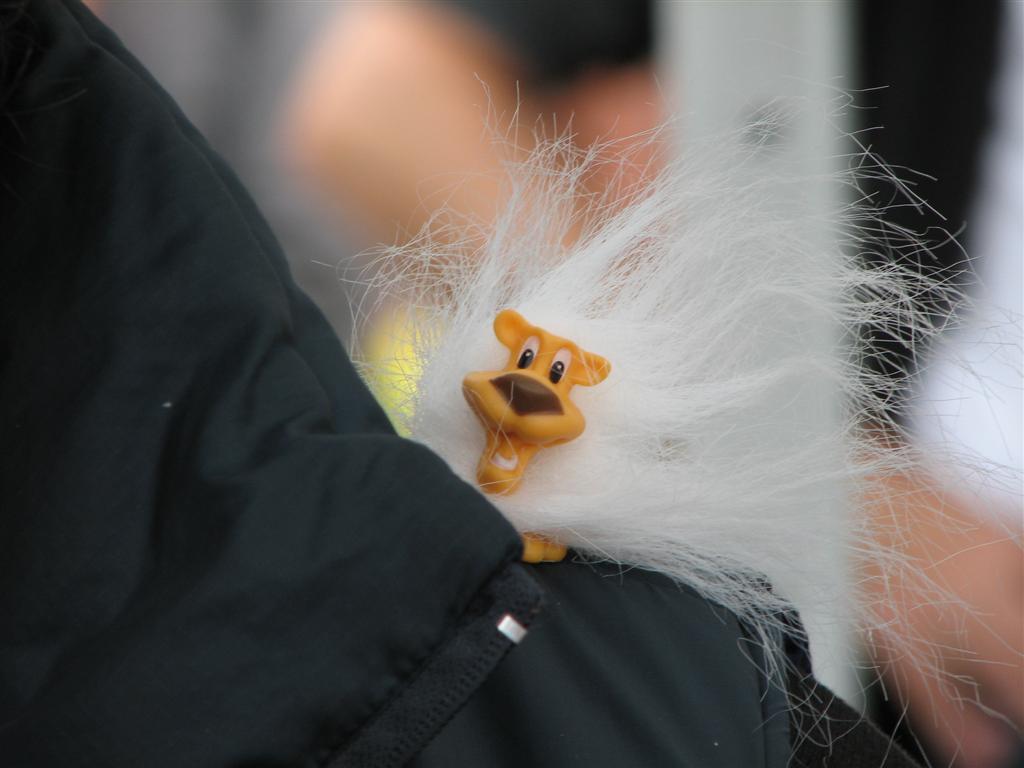 2008_06_14 algemeen (22).jpg